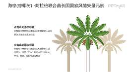 海枣（枣椰树）-阿拉伯联合酋长国国家风情PPT图像素材下载