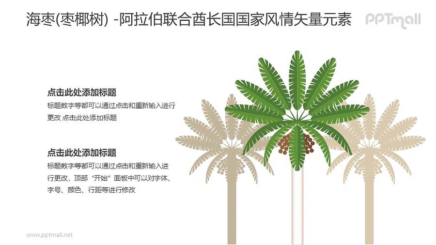 海枣（枣椰树）-阿拉伯联合酋长国国家风情PPT图像素材下载