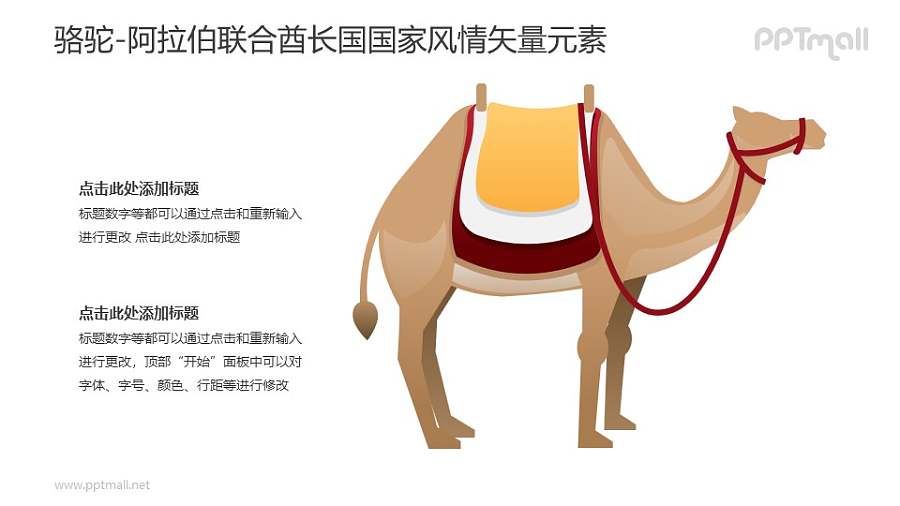 骆驼-阿拉伯联合酋长国国家风情PPT图像素材下载