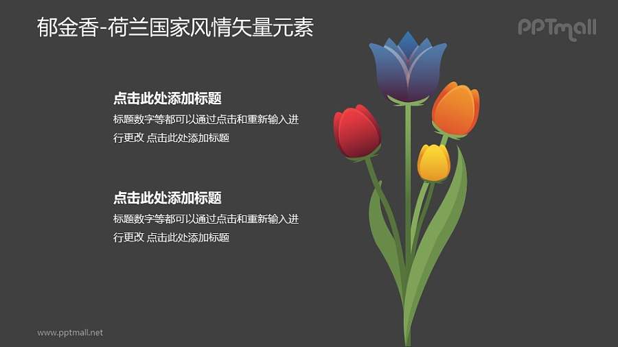 郁金香-荷兰国家风情PPT图像素材下载