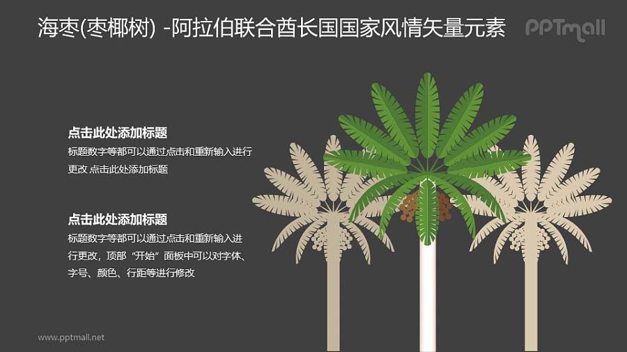 海枣（枣椰树）-阿拉伯联合酋长国国家风情PPT图像素材下载