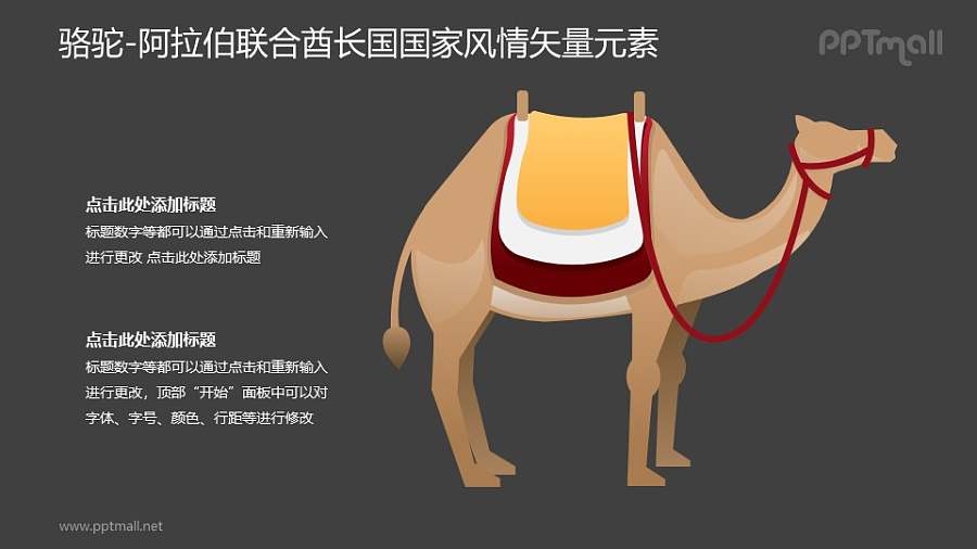骆驼-阿拉伯联合酋长国国家风情PPT图像素材下载