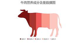 牛肉营养成分含量数据图PPT图表下载