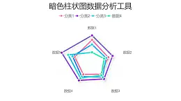 四组数据占比雷达图分析工具PPT图表下载