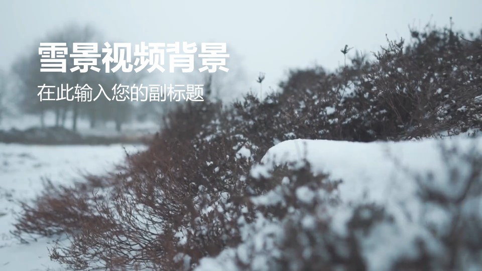 草地雪景视频背景PPT动画模板素材下载