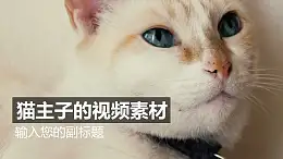 可爱的白猫视频动态背景PPT动画模板素材下载