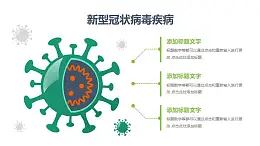 COVID-19新型冠狀病毒內(nèi)部結(jié)構PPT圖示素材下載