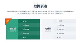 基础版+专业版表格图文排版PPT素材模板下载