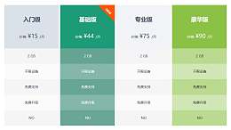 入门级+基础版+专业版+豪华版4个表格组成的PPT模板下载