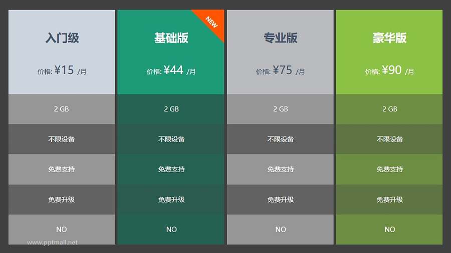 入门级+基础版+专业版+豪华版4个表格组成的PPT模板下载