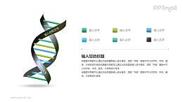 彩色DNA结构PPT模板下载